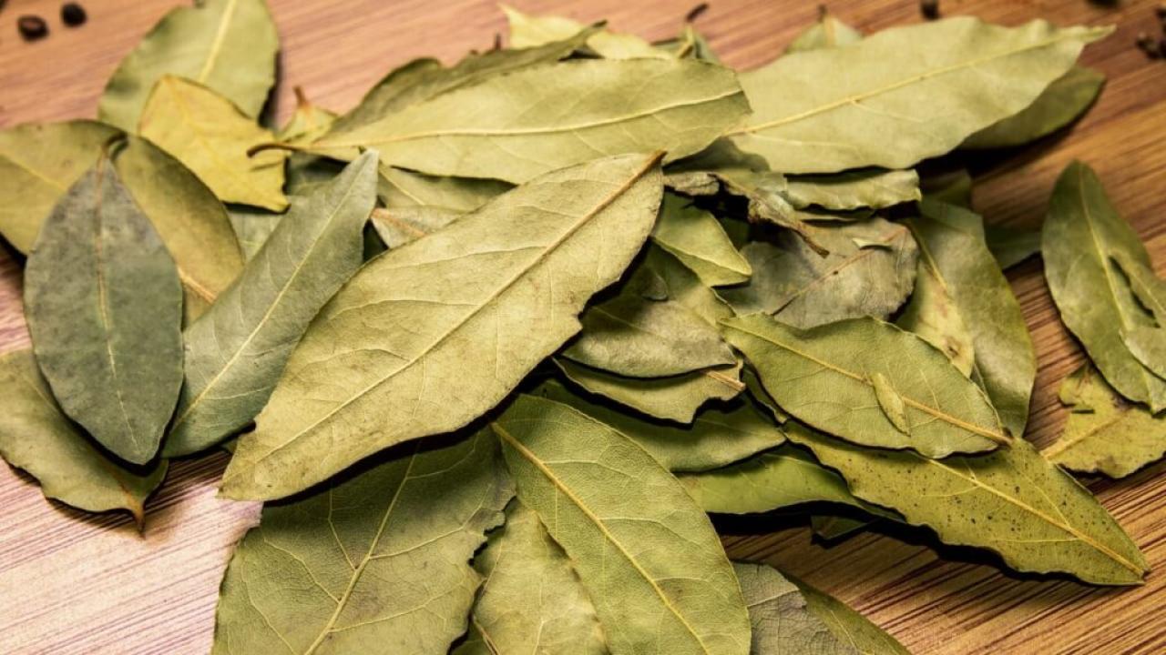Rituais para atrair dinheiro: canela, louro e sal grosso