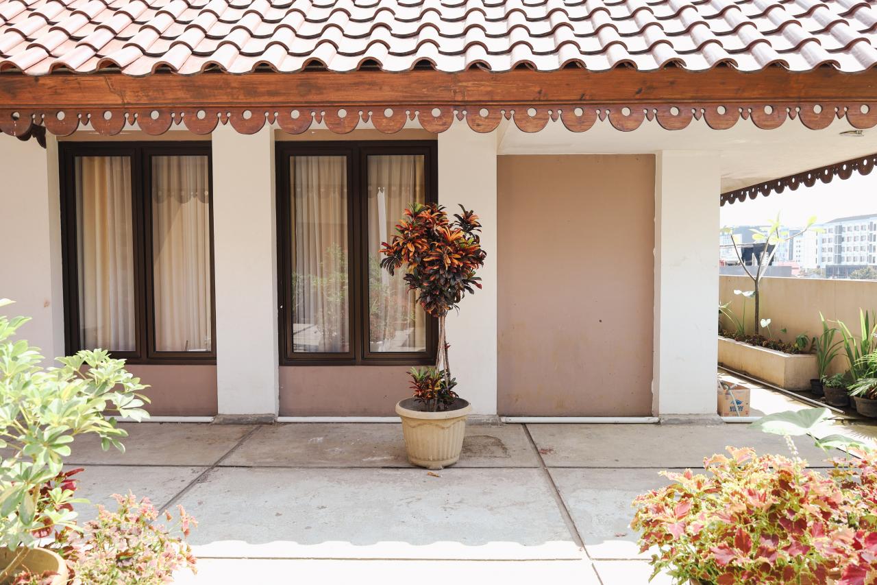 Plantas para afastar energia negativa na entrada da casa