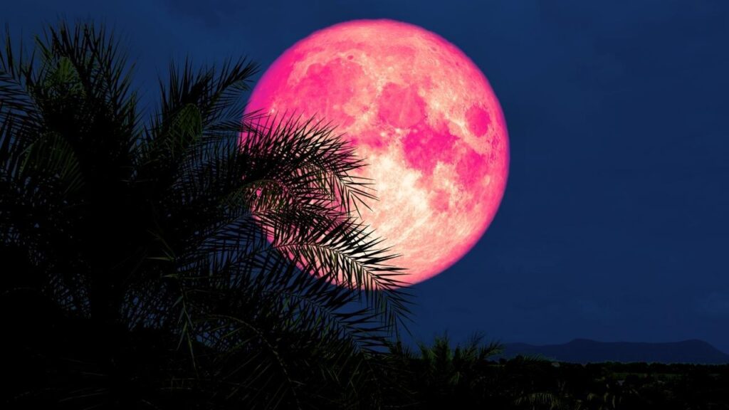 Perdeu a Lua de Morango? Veja quando o fenômeno acontece de novo