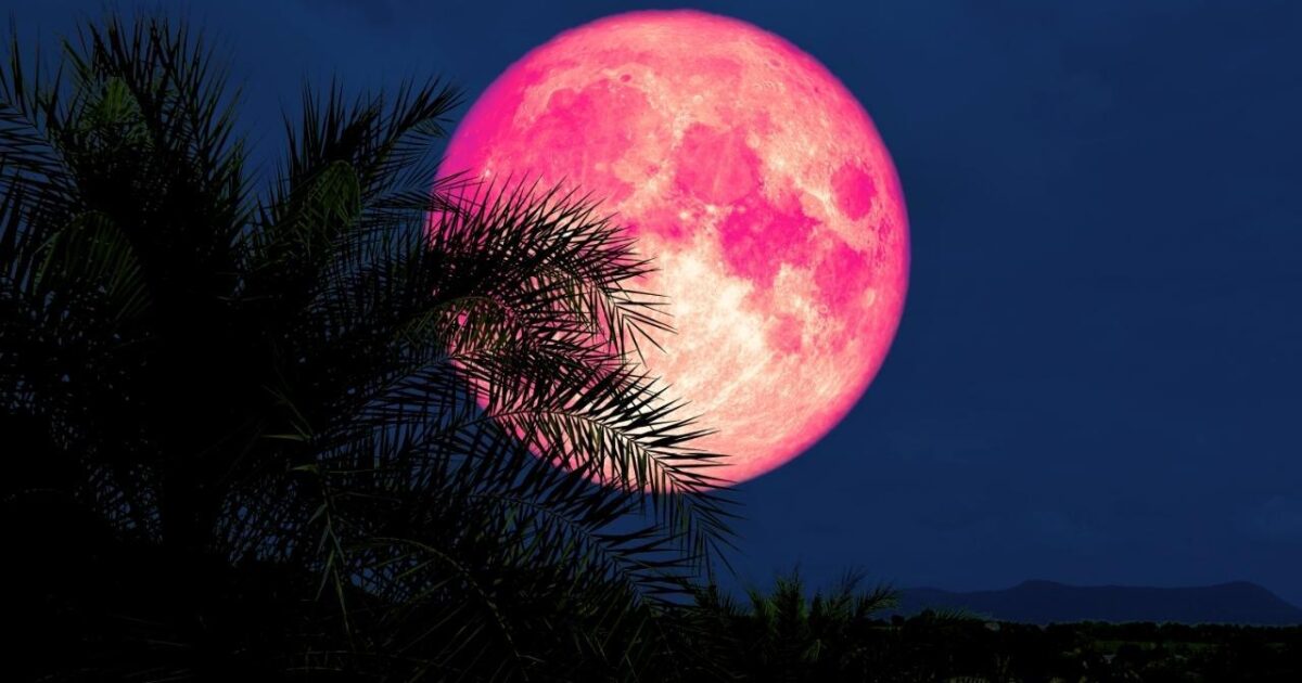 Perdeu a Lua de Morango? Veja quando o fenômeno acontece de novo