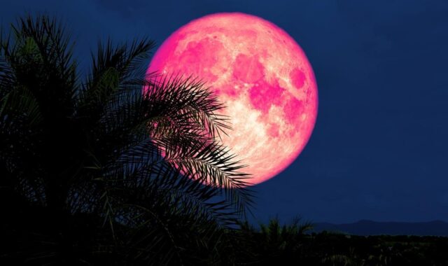 Perdeu a Lua de Morango? Veja quando o fenômeno acontece de novo