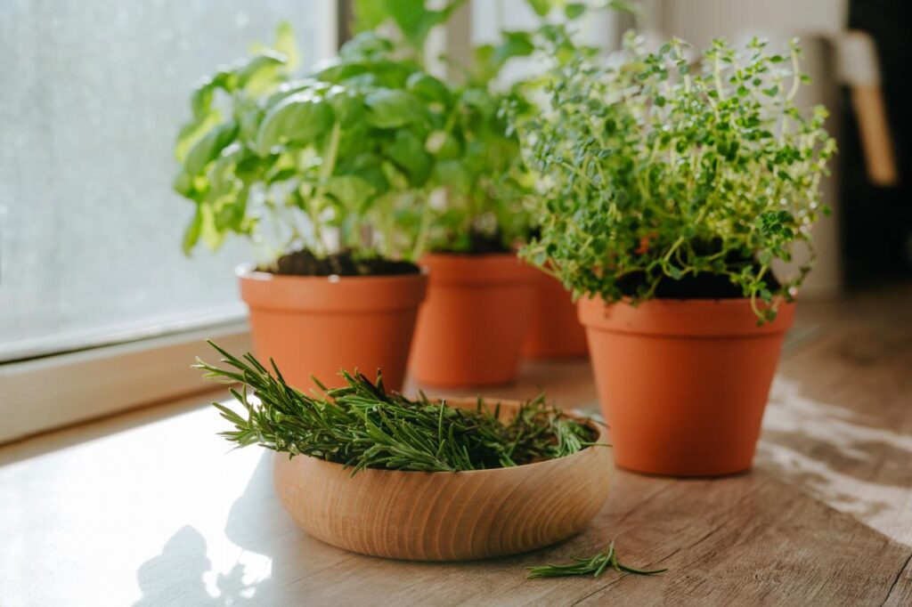 Ritual para renovar as energias antes do fim de julho