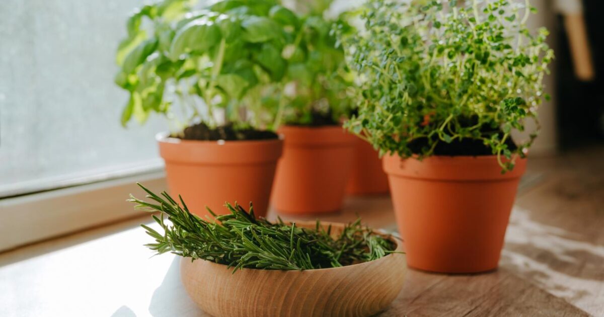 Ritual para renovar as energias antes do fim de julho