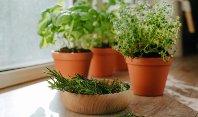 Ritual para renovar as energias antes do fim de julho