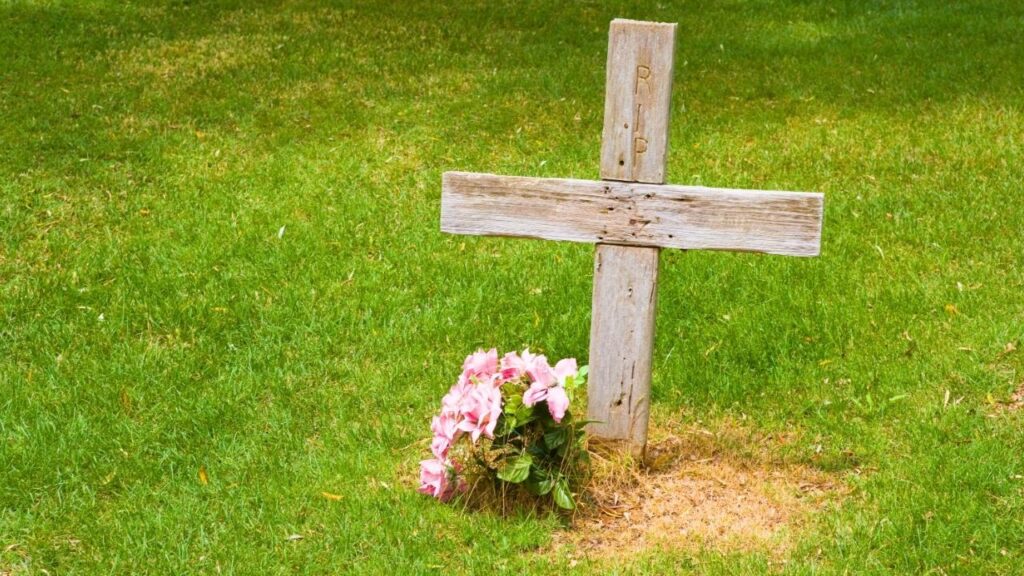 Sonhar com morte significado: descubra o que realmente revela
